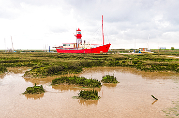 Tollesbury lightship (Lightvessel 15), in the Tollesbury Wick Nature Reserve, near Maldon, Essex, England, United Kingdom, Europe