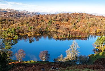 Tarn Hows and Tom Heights in the autumn, Lake District National Park, UNESCO World Heritage Site, Cumbria, England, United Kingdom, Europe