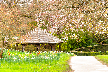 Spring in Hever Castle gardens, Kent, England, United Kingdom, Europe