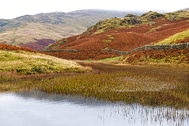 Alcock Tarn, near Grasmere, Lake District National Park, UNESCO World Heritage Site, Cumbria, England, United Kingdom, Europe