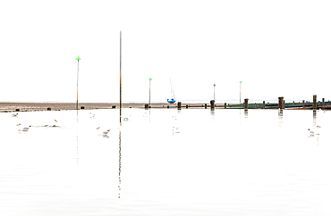 Tidal pool at low tide at Leigh on Sea, Essex, England, United Kingdom, Europe