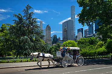 Horse Carriage Ride through Central Park with New York city skyline behind, Central Park, Manhattan, New York, United States of America, North America