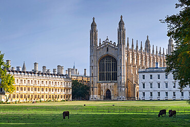 Kings College Chapel and Clare College viewed across The Backs, Cambridge University, Cambridge, Cambridgeshire, England, UK