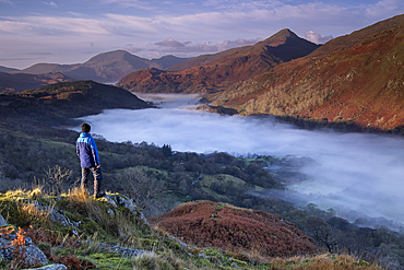 Walker looking out over the peak of Yr Aran and a fog filled Nant Gwynant Valley, Nant Gwynant, Eryri, Snowdonia National Park, North Wales, United Kingdom, Europe