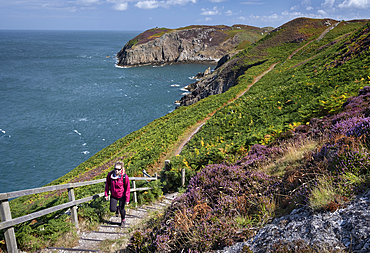 Young woman walking the Anglesey Coast Path in summer, near Cemaes, Isle of Anglesey, North Wales, Wales, United Kingdom, Europe