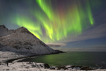 A photographer shoots the Aurora Borealis (Northern Lights) over Skoytneset mountain and Mefjorden in winter, near Mefjordvaer, Senja, Troms og Finnmark county, Norway, Scandanavia, Europe