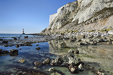 Beachy Head Lighthouse and Beachy Head White Chalk Cliffs viewed from the coast, Beachy Head, near Eastbourne, South Downs National Park, East Sussex, England, United Kingdom, Europe