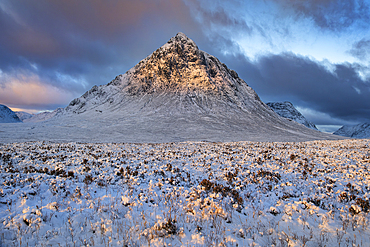 Stob Dearg (Buachaille Etive Mor) at the entrance to Glen Coe in winter at sunrise, Rannoch Moor, Argyll and Bute, Scottish Highlands, Scotland, United Kingdom, Europe