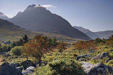 Autumn colours in the Ogwen Valley backed by Tryfan and the Glyderau mountains, Snowdonia National Park, Eryri, North Wales, UK