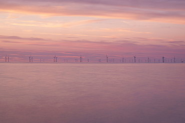 Wind Turbines of the Gwynt y Mor Offshore Wind Farm at sunset, Irish Sea, North Wales Coast, UK