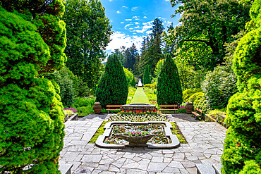 The botanical gardens of Villa Taranto, Pallanza, Lake Maggiore, Verbania District, Piedmont, Italian Lakes, Italy, Europe