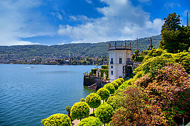 The gardens of Palazzo Borromeo, Isola Bella, Borromean Islands, Lake Maggiore, Stresa, Piedmont, Italian Lakes, Italy, Europe