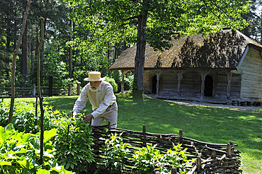 Old man gardening in front of a thatched house in the village of Kurzeme, Ethnographic Open-Air Museum near Riga, Latvia, Baltic region, Europe