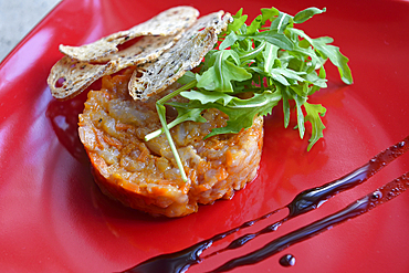 Tuna tartare served at Zuvine fish restaurant, Didzioji street, Old Town, Vilnius, Lithuania, Europe