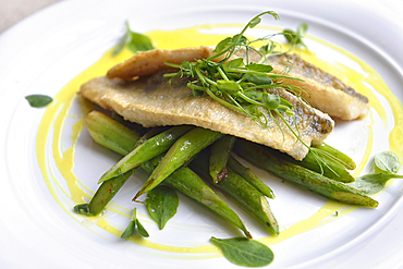 Vimba bream fillets (Vimba Vimba) on a bed of green asparagus, served at Zuvine fish restaurant, Didzioji street, Old Town, Vilnius, Lithuania, Europe