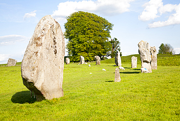 Neolithic stone circle and henge at Avebury, UNESCO World Heritage Site, Wiltshire, England, United Kingdom, Europe