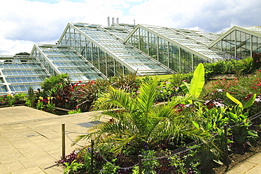 Princess of Wales conservatory glasshouses, Kew Gardens, Royal Botanic Gardens, UNESCO World Heritage Site, Kew, London, England, United Kingdom, Europe