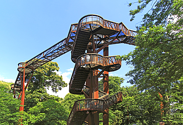 Xstrata Treetop Walkway, Royal Botanic Gardens, UNESCO World Heritage Site, Kew, London, England, United Kingdom, Europe