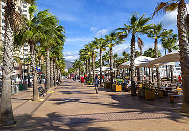 Palm trees and cafes on the seafront promenade in centre of Fuengirola, Costa del Sol, Andalusia, Spain, Europe