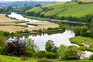 Landscape view of River Dart estuary and valley near Totnes, south Devon, England, United Kingdom, Europe