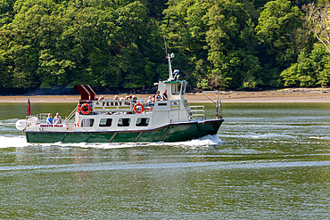 Christie Belle ferry boat, River Dart estuary and valley, south Devon, England, United Kingdom, Europe