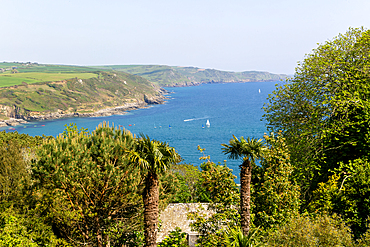 View of coast looking east towards Prawle Point from Sharpitor, Salcombe, south Devon, England, United Kingdom, Europe