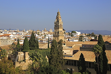 View of historic city centre and belfry bell tower, Toree del Laminar, Grand Mosque, Cordoba, Spain