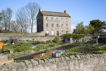 The Lion House, early nineteenth century, Berwick-upon-Tweed, Northumberland, England, UK