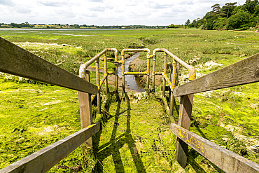 Drainage sluice gate River Deben at very low tide, Sutton, Suffolk, England, UK