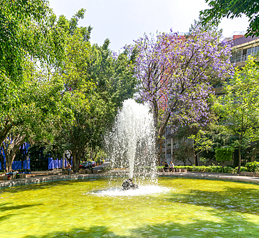 Water fountain on road roundabout, Plaza Citlaltepetl, Colonia Hipodromo, La Condesa neighbourhood, Mexico City, Mexico, North America