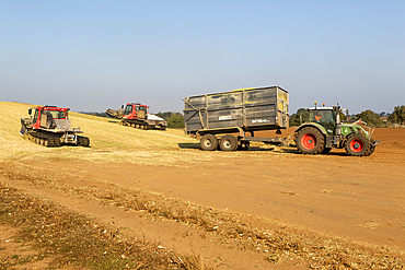 Piston Bully tracked bulldozer vehicles building silage clamp of sweetcorn maize in field stored for biofuel, Alderton, Suffolk, England, UK