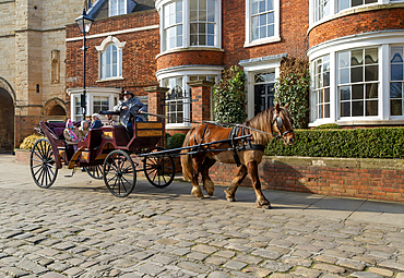 Horse and carriage ride passing houses in Minster Yard of Lincoln cathedral, city of Lincoln, Lincolnshire, England, UK