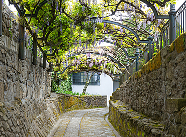 Old rail track path leading to Taylor's port lodge, Vila Nova de Gaia, Porto, Portugal, Europe