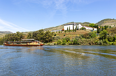 River cruise hotel barge ship MV Spirit of Chartwell, Portugal, Europe passing Croft port vineyards Quinta da Roêda near Pinhao