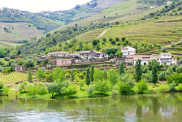 River Douro valley landscape, Quinta de S Martinho, São João da Pesqueira, Portugal, Europe