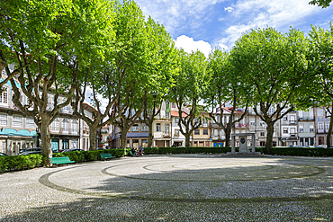 Trees around city park Jardim do Largo Condessa do Juncal, city centre of Guimaraes, northern Portugal, Europe