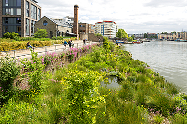Artificial wetland plants growing on Biomatrix raft on water, Floating Harbour, Hotwells, Bristol, England, UK