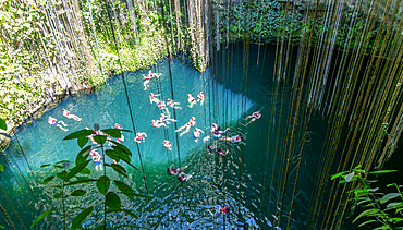 People swimming in limestone sinkhole pool, Cenote Ik kil, Piste, Yucatan, Mexico, North America