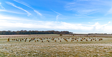 Frosty cold weather and posts of Neolithic henge site, Woodhenge, Wiltshire, England, United Kingdom, Europe