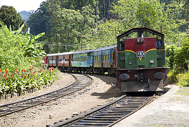 Train arriving at platform of railway station at Ella, Badulla District, Uva Province, Sri Lanka, Asia