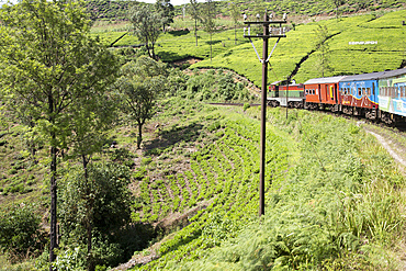 Train journey through countryside near Nuwara Eliya,, Sri Lanka, Asia