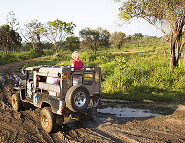 Elephant safari in Hurulu Eco Park biosphere reserve, Habarana, Anuradhapura District, Sri Lanka, Asia