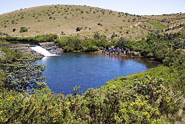 Weir and pool in the Belihul Oya river, Horton Plains National Park, Central Province, Sri Lanka, Asia