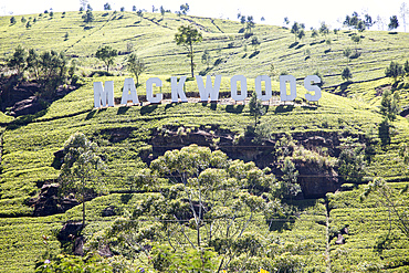 Mackwoods tea estate sign, Nuwara Eliya, Central Province, Sri Lanka, Asia