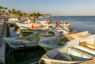 Small fishing boats in port, Campeche city, Campeche State, Mexico, North America