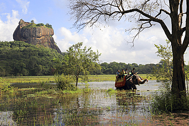 Elephant ride in lake by rock palace, Sigiriya, Central Province, Sri Lanka, Asia