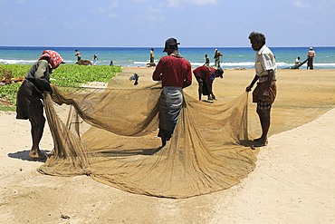 Traditional fishing hauling nets, Nilavelli beach, near Trincomalee, Eastern province, Sri Lanka, Asia