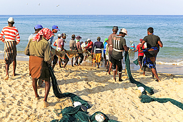 Traditional fishing hauling nets, Nilavelli beach, near Trincomalee, Eastern province, Sri Lanka, Asia