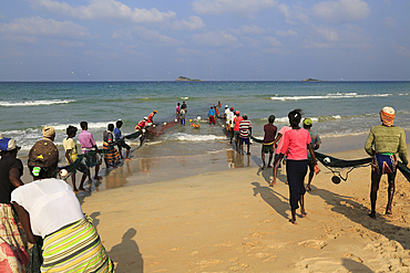 Traditional fishing hauling nets, Nilavelli beach, near Trincomalee, Eastern province, Sri Lanka, Asia