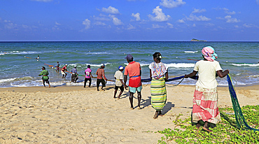 Traditional fishing hauling nets, Nilavelli beach, near Trincomalee, Eastern province, Sri Lanka, Asia